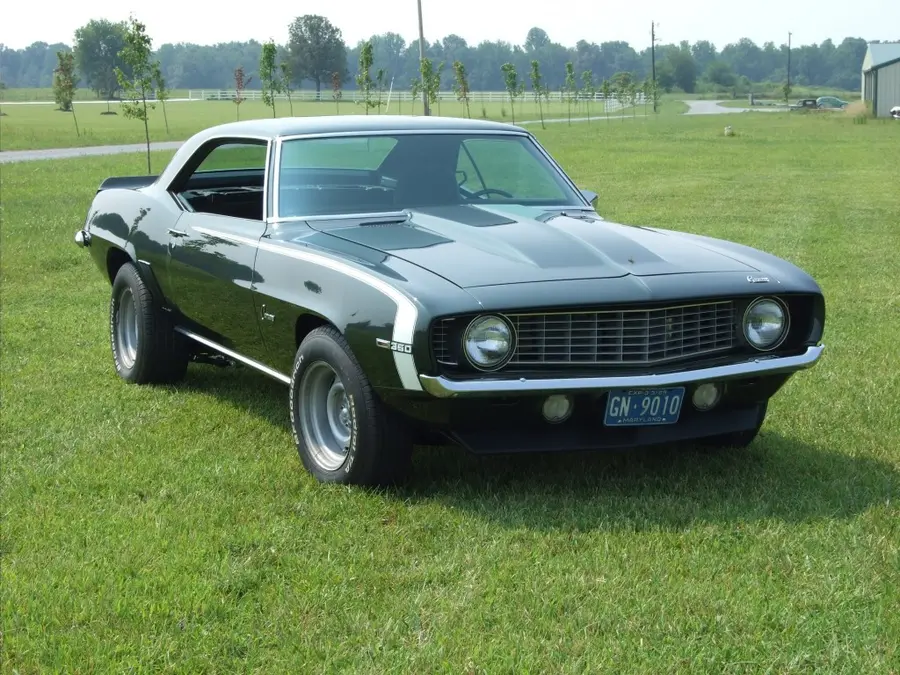 A black restored muscle coupe, side profile in a field.